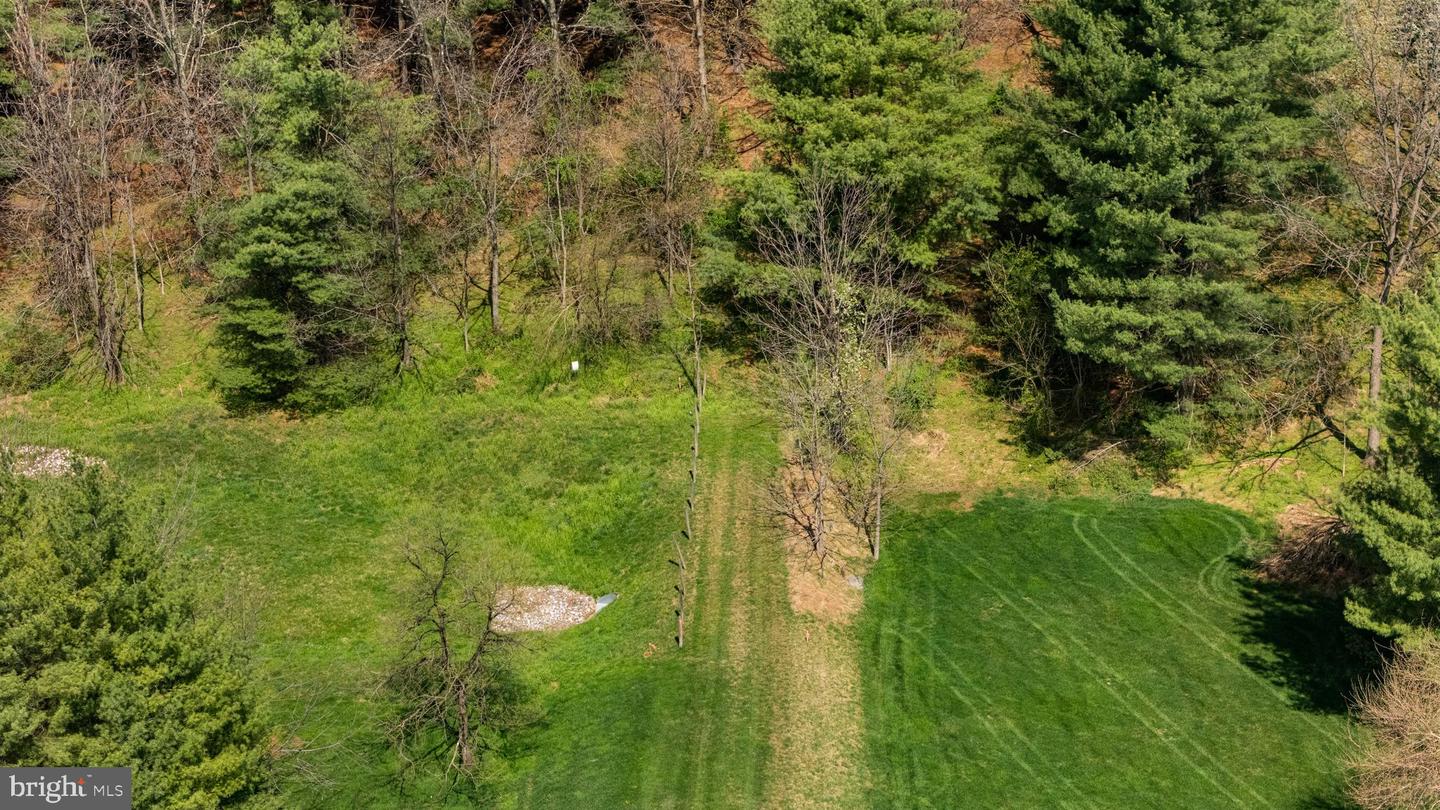 Farmington Property Photo 15