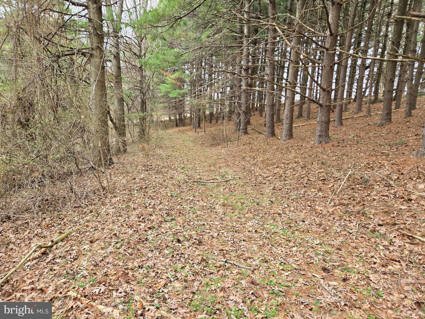Farmington Property Photo 18
