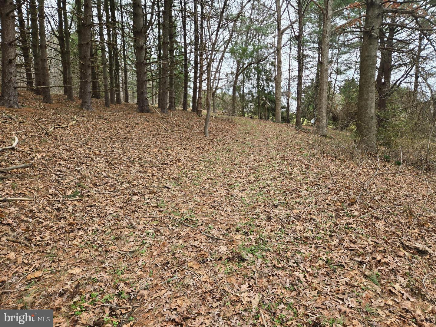 Farmington Property Photo 19