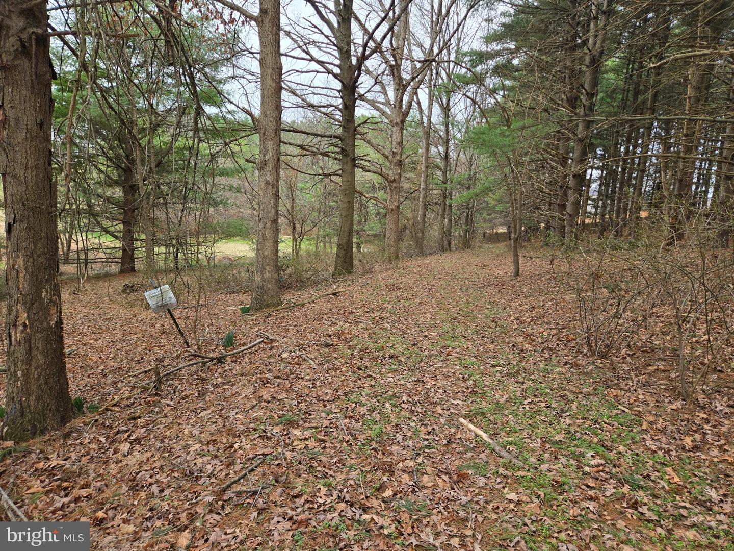 Farmington Property Photo 20