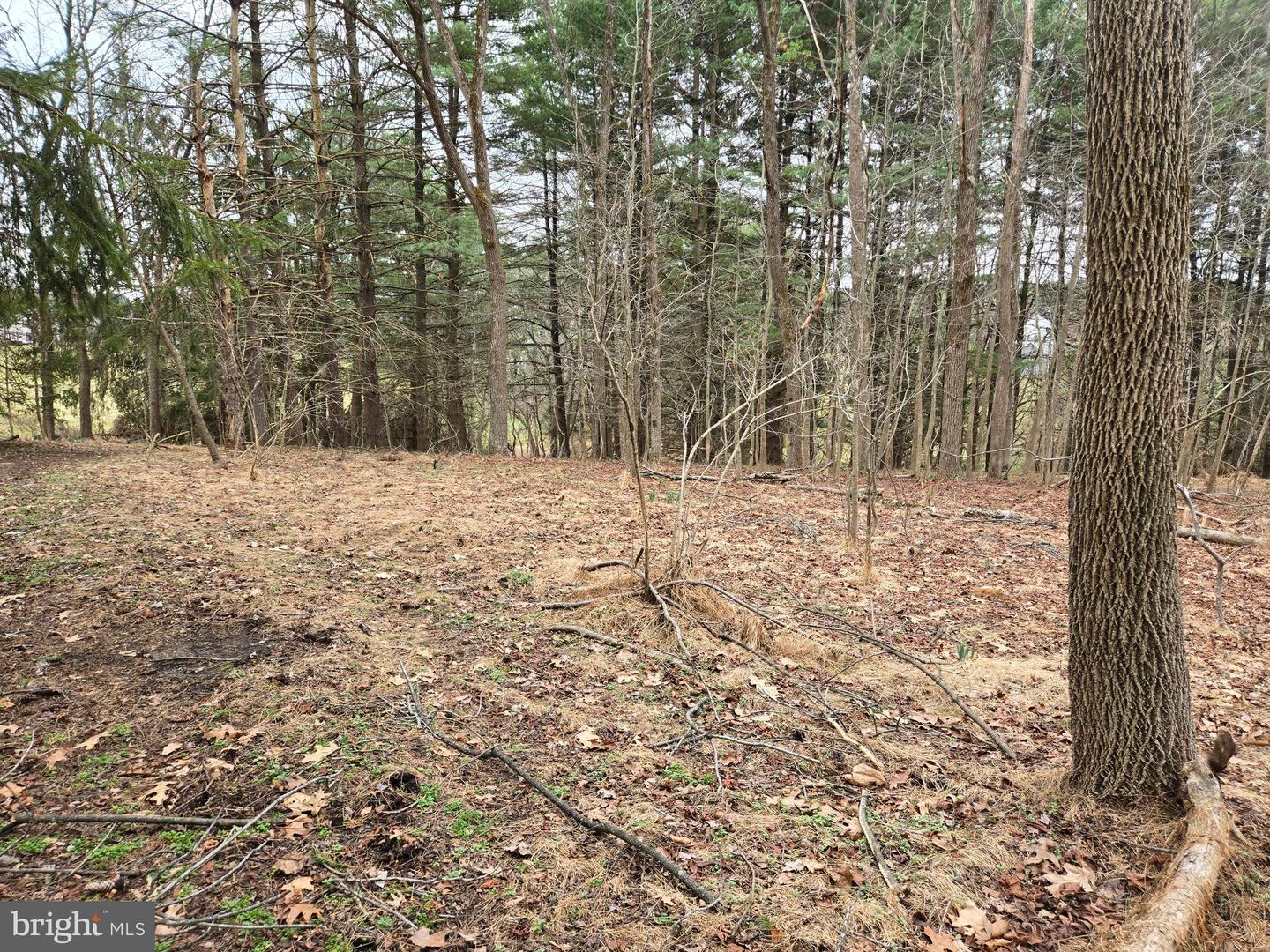 Farmington Property Photo 21