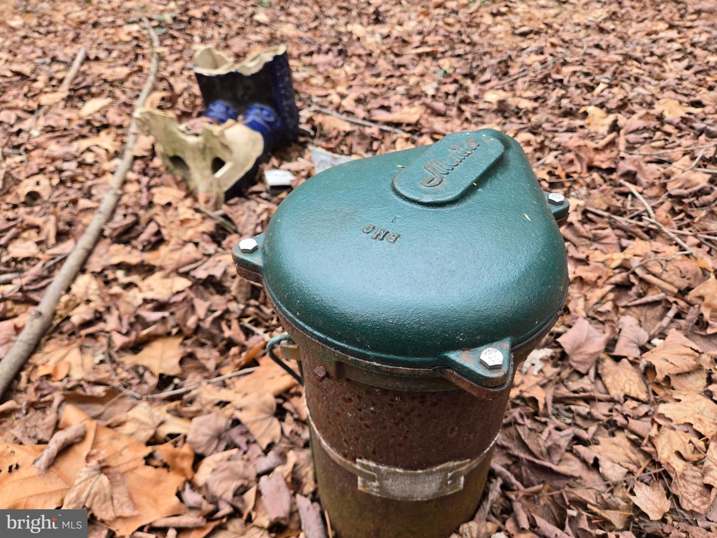 Farmington Property Photo 22