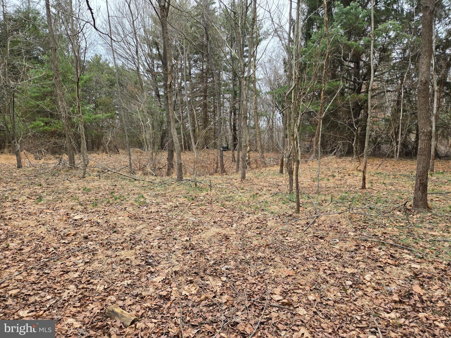 Farmington Property Photo 23