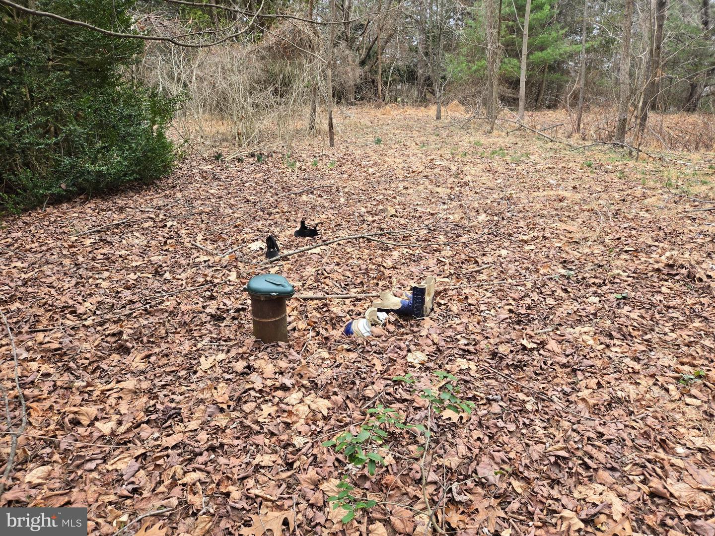 Farmington Property Photo 24