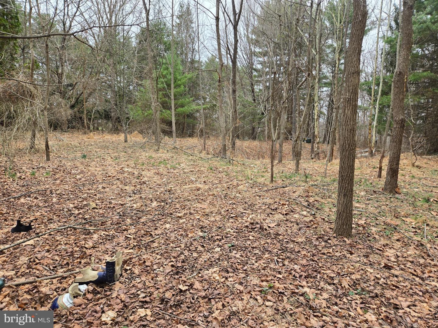 Farmington Property Photo 25