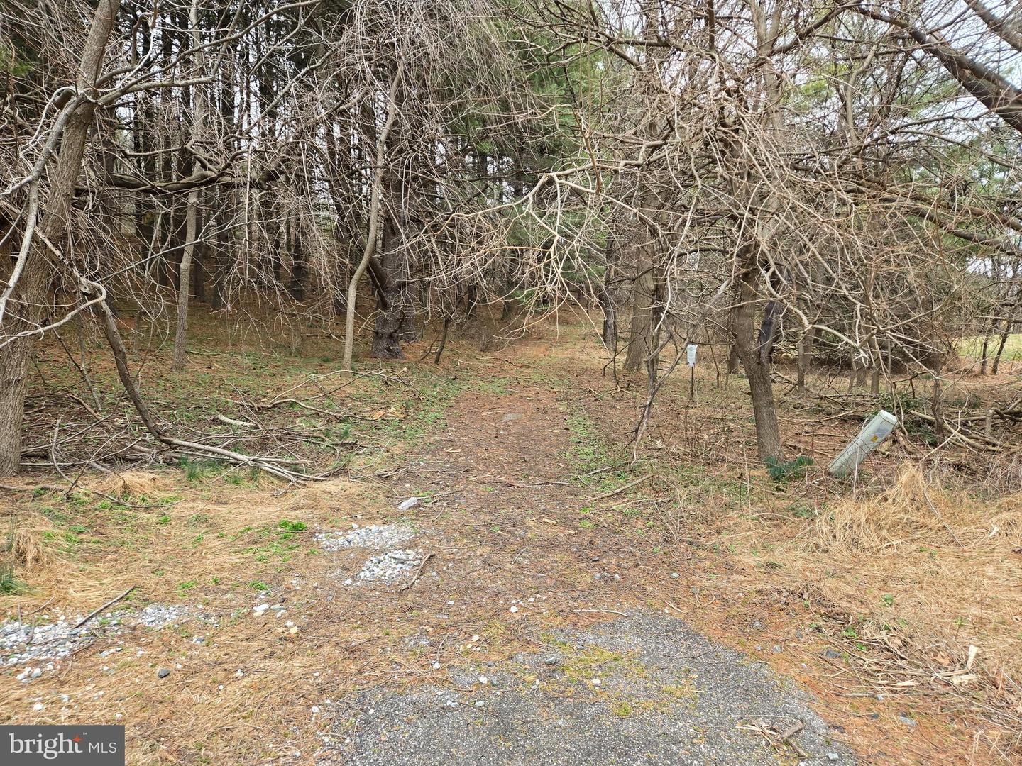 Farmington Property Photo 28