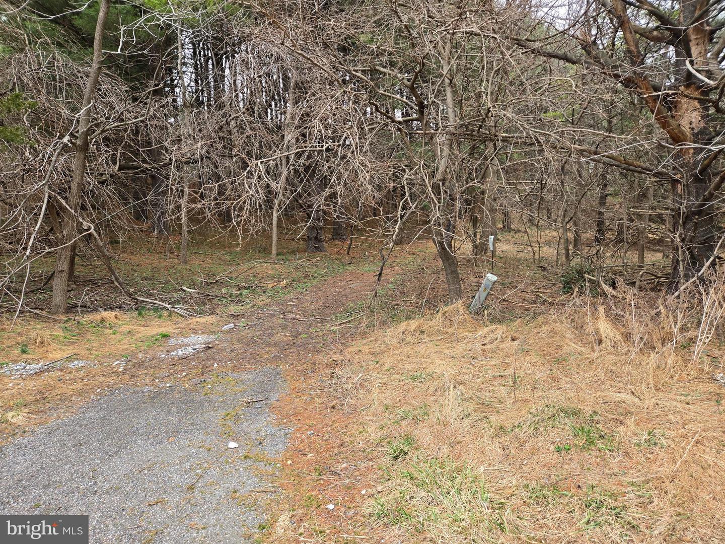 Farmington Property Photo 29