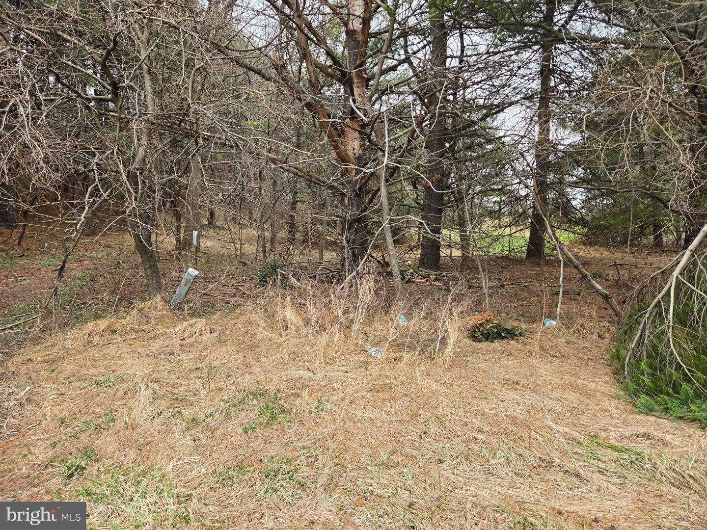 Farmington Property Photo 30