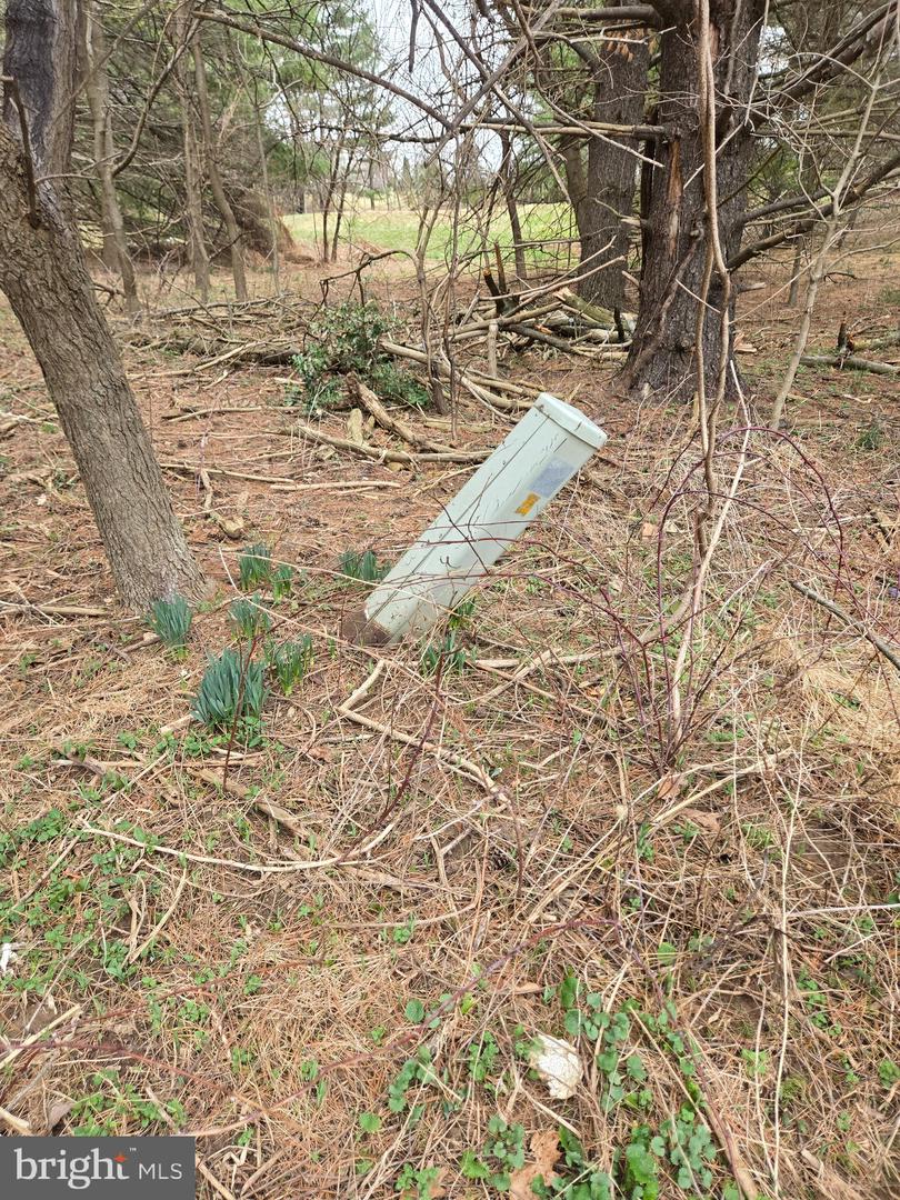 Farmington Property Photo 31