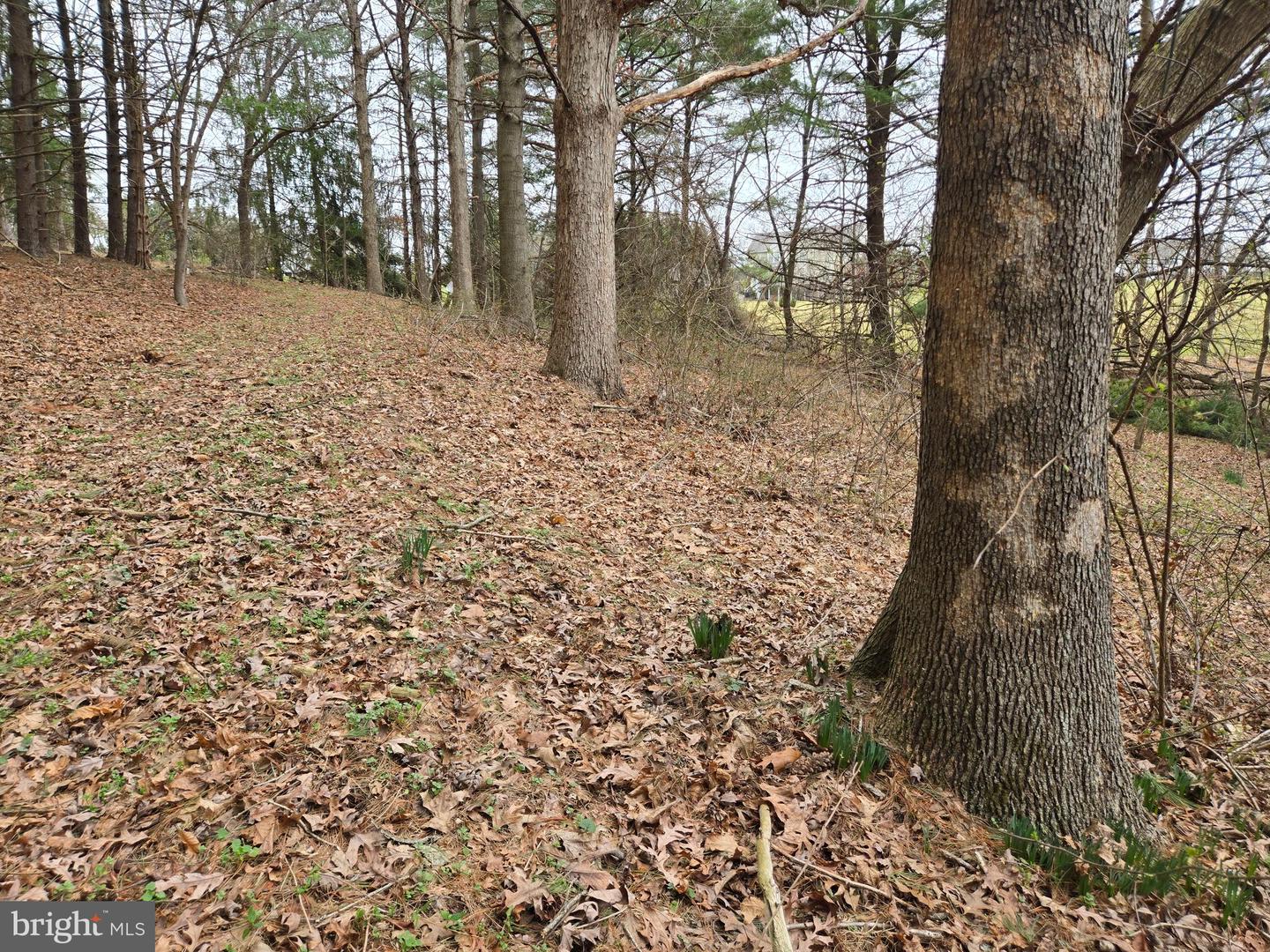Farmington Property Photo 32