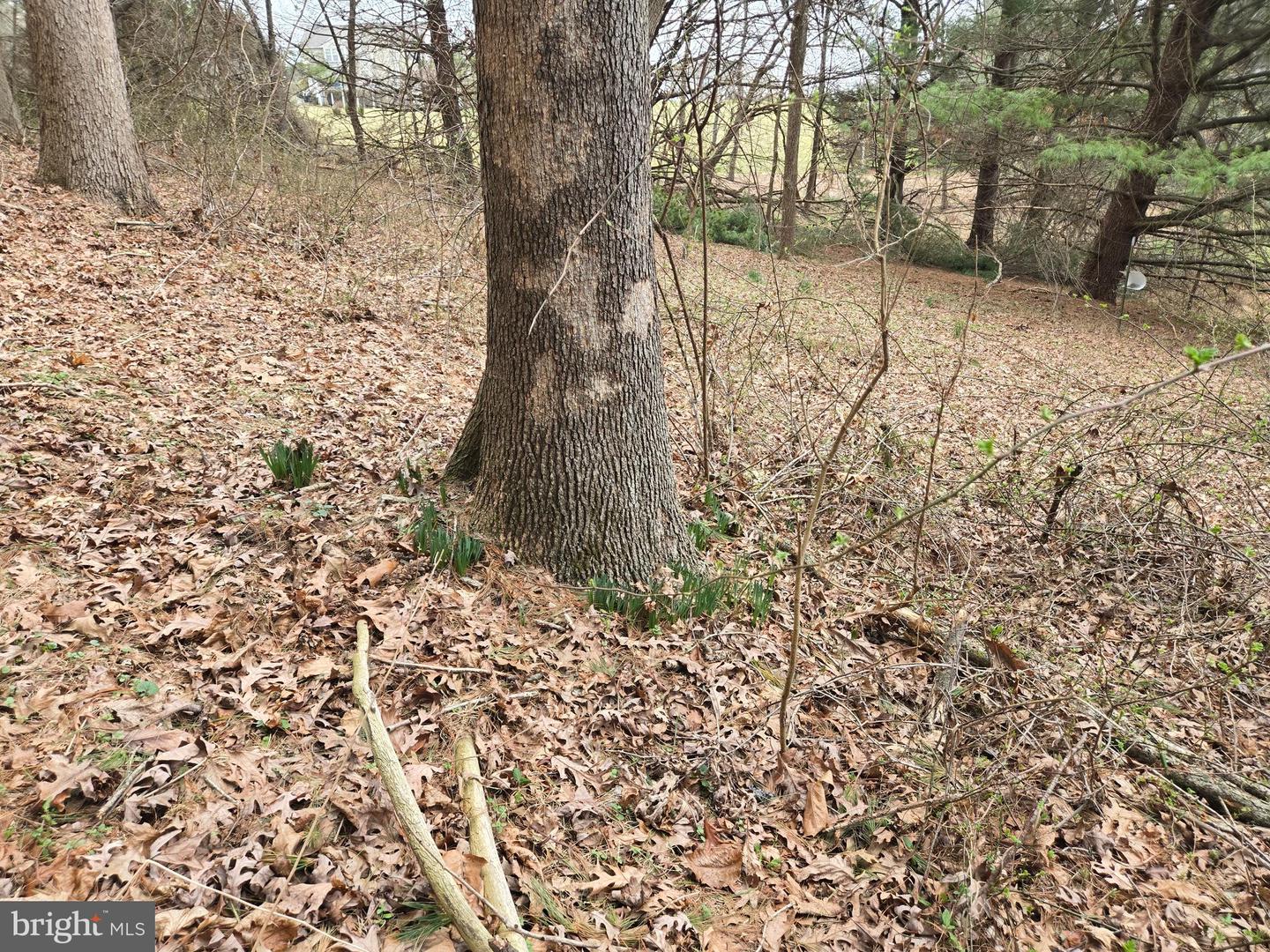 Farmington Property Photo 33