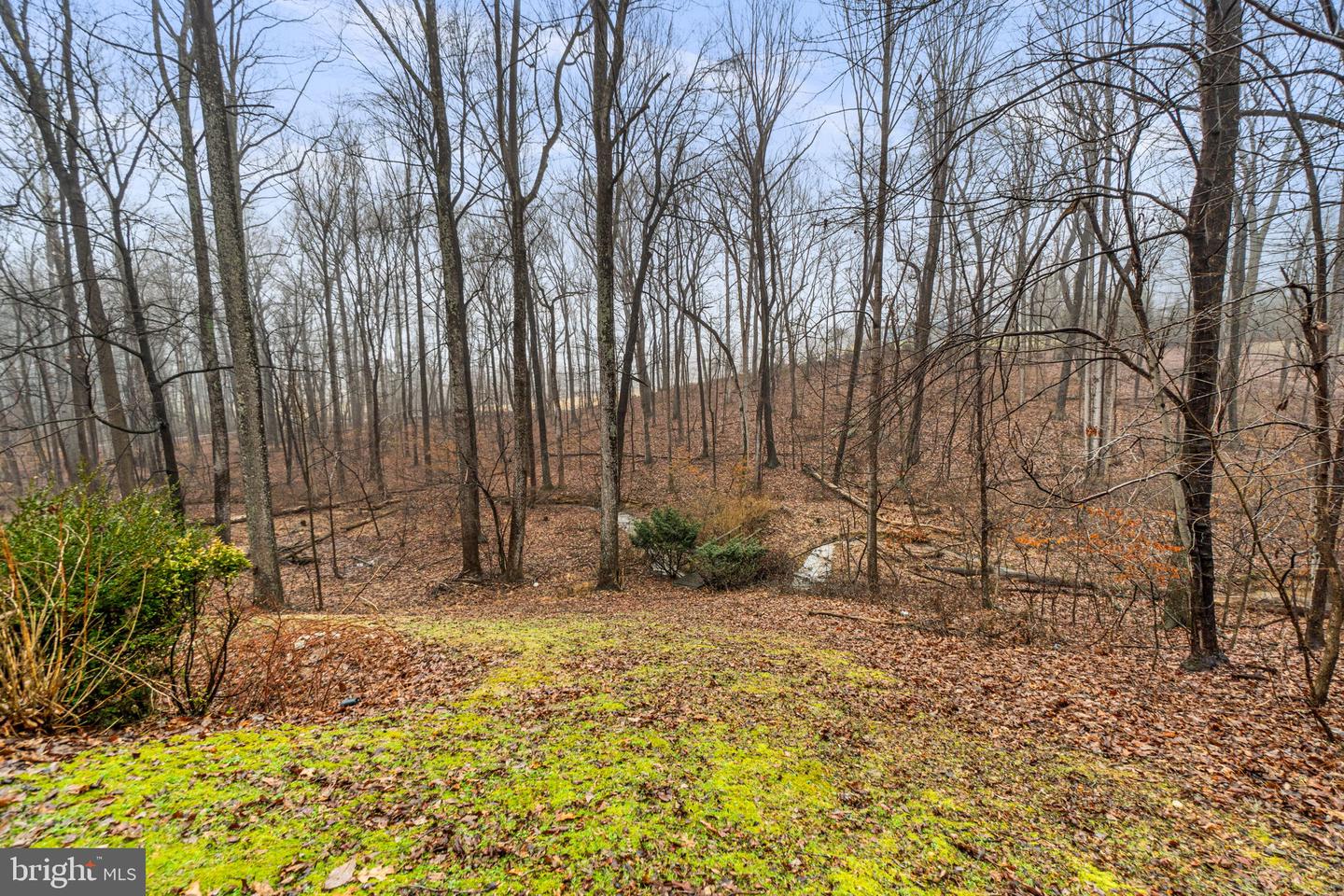 4525 Roop Rd Property Photo 47