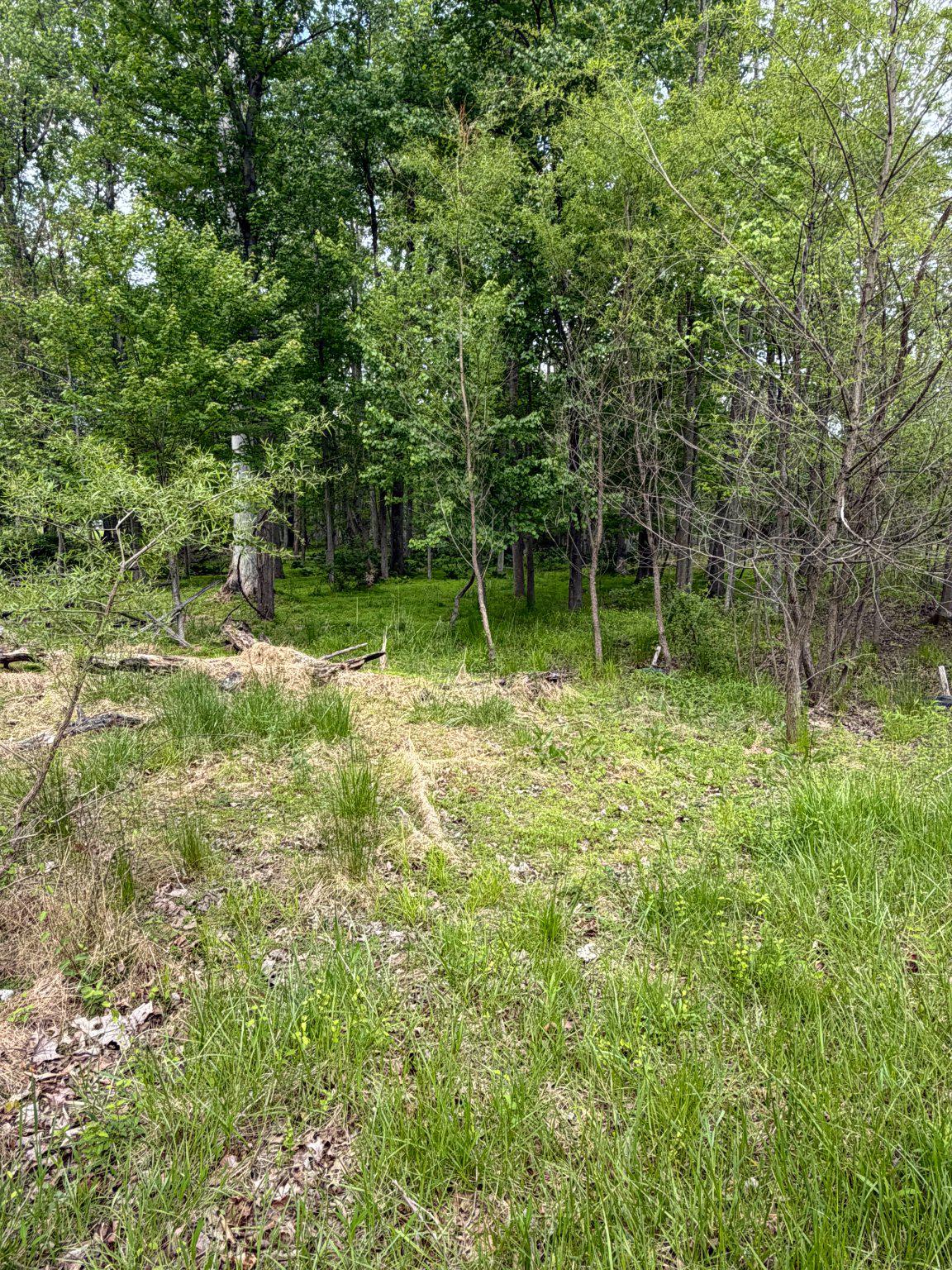 P.144 Bennett Rd Property Photo 8