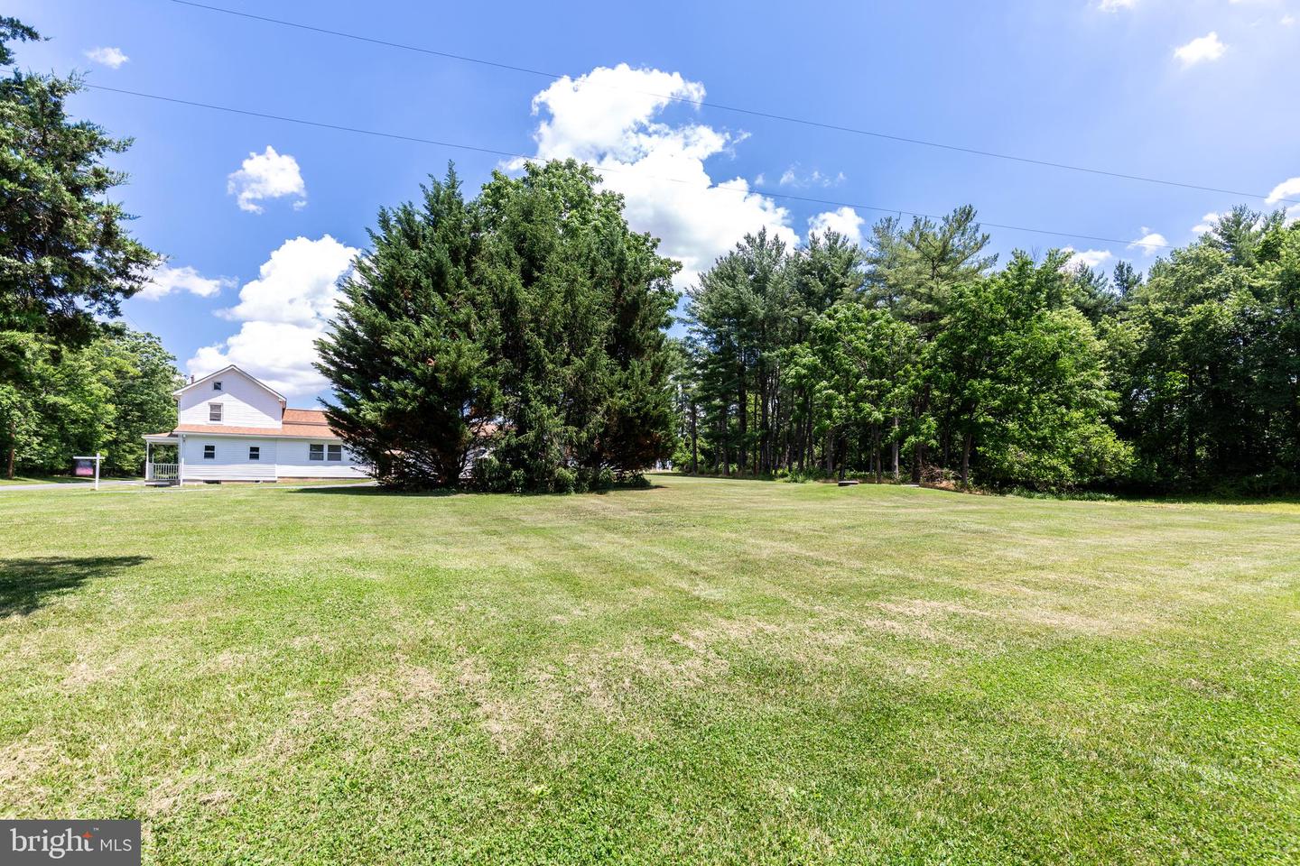 3831 Walnut Grove Rd Property Photo 5