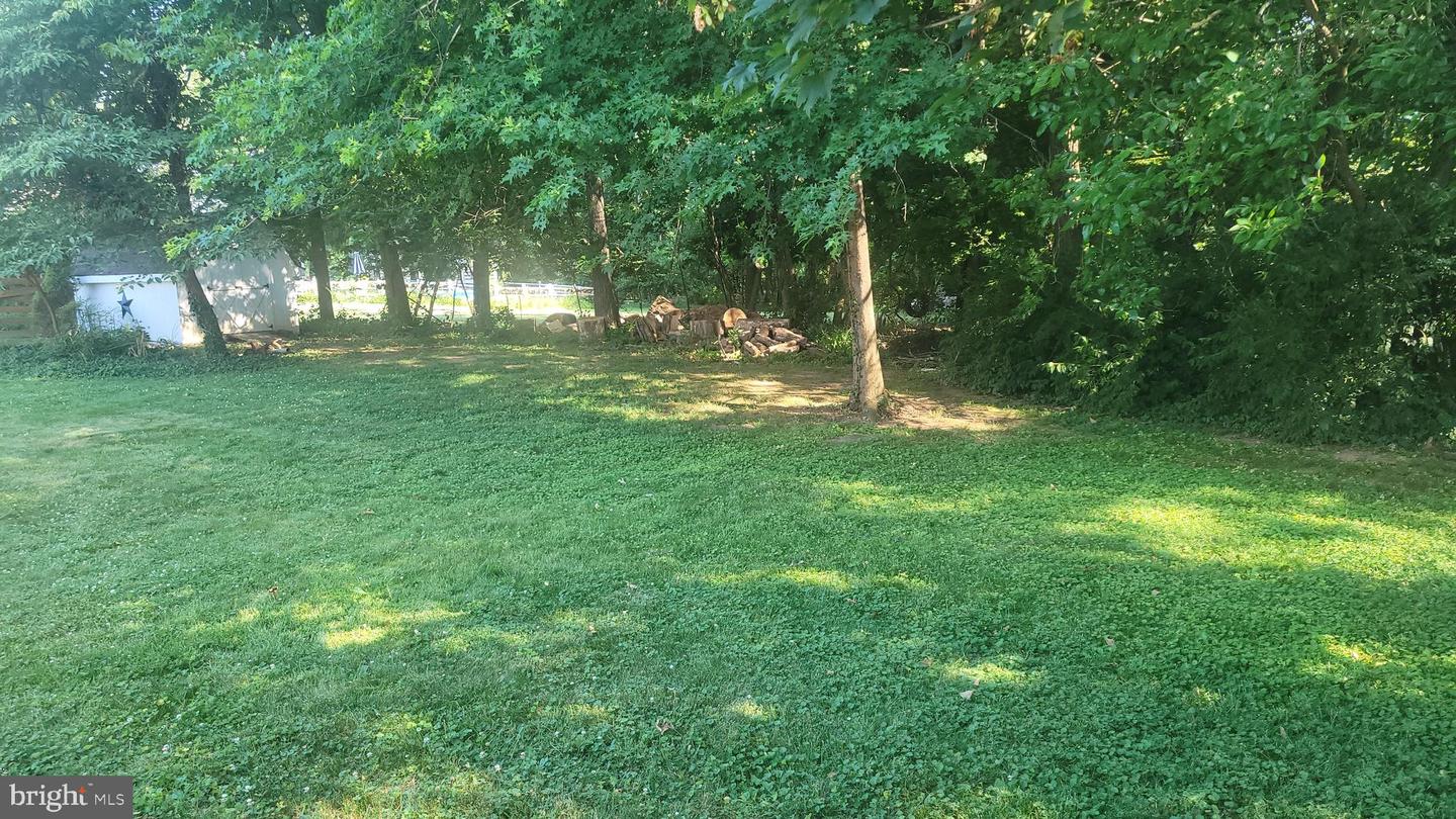 313 Wayne Ave Property Photo 37