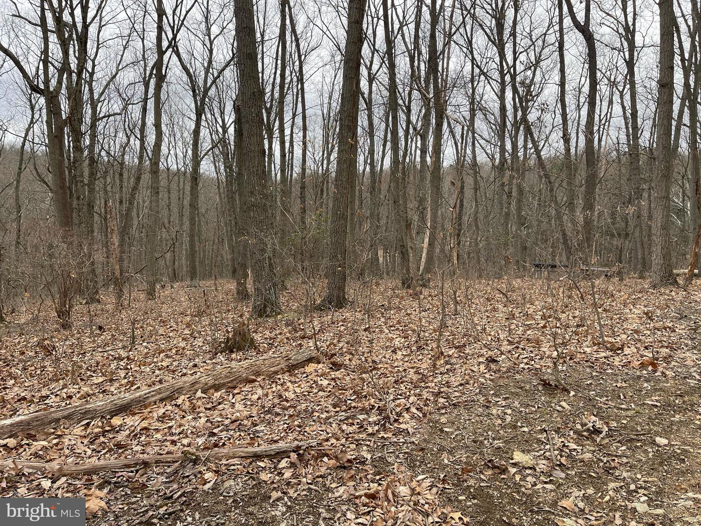 Nicodemus Property Photo 3