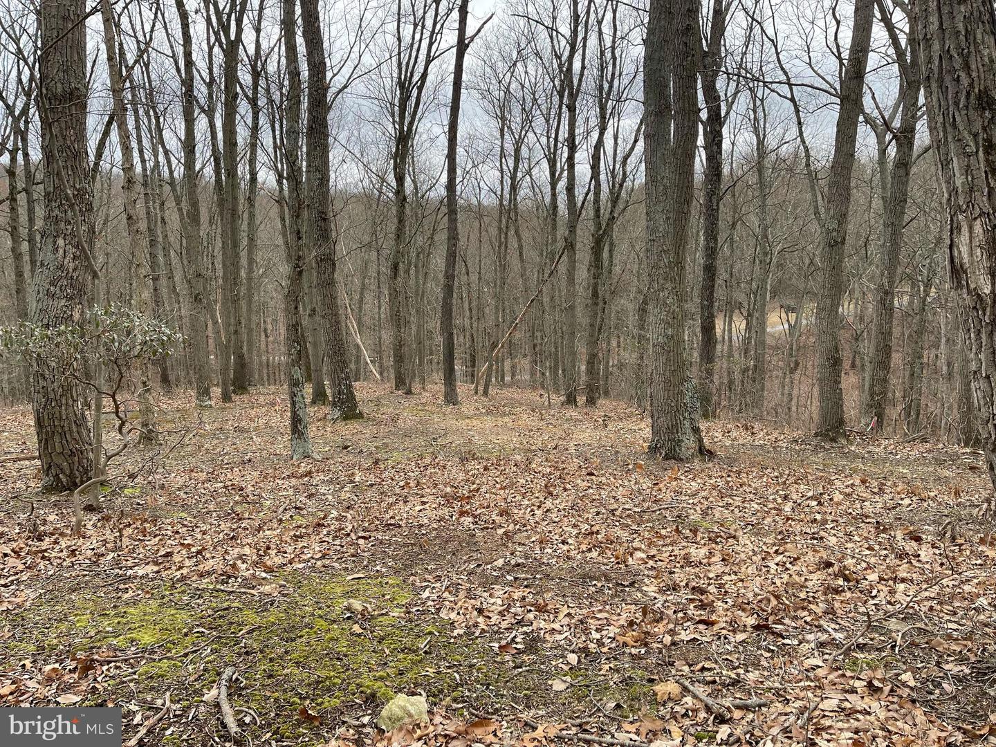 Nicodemus Property Photo 4