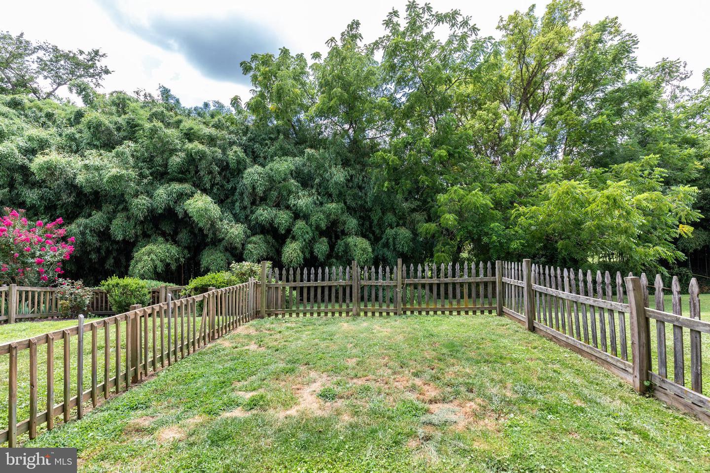 4369 Downhill Trl Property Photo 39