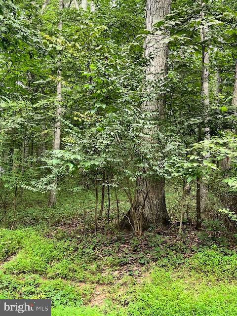 Baumgardner Rd S Property Photo 1