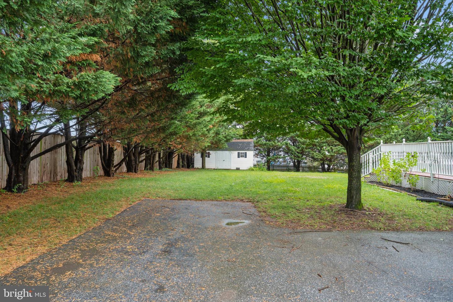 207 Bentley St Property Photo 88