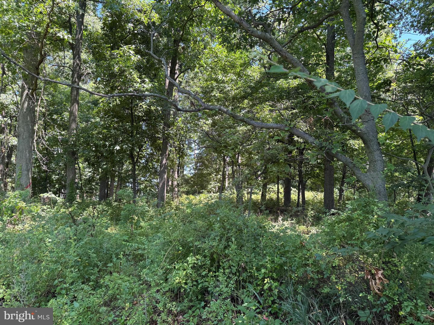 0 Old Hanover Rd Property Photo 4