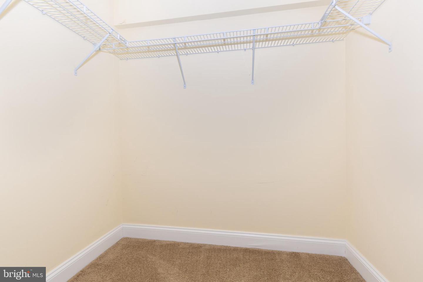 2841 Chauncey Hill Dr #28 Property Photo 46