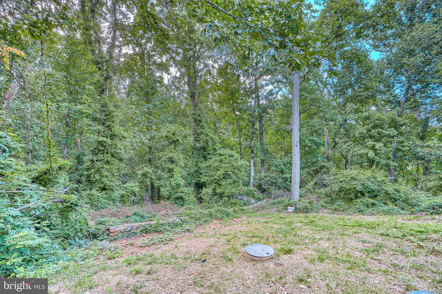 3364 Old Gamber Rd Property Photo 56