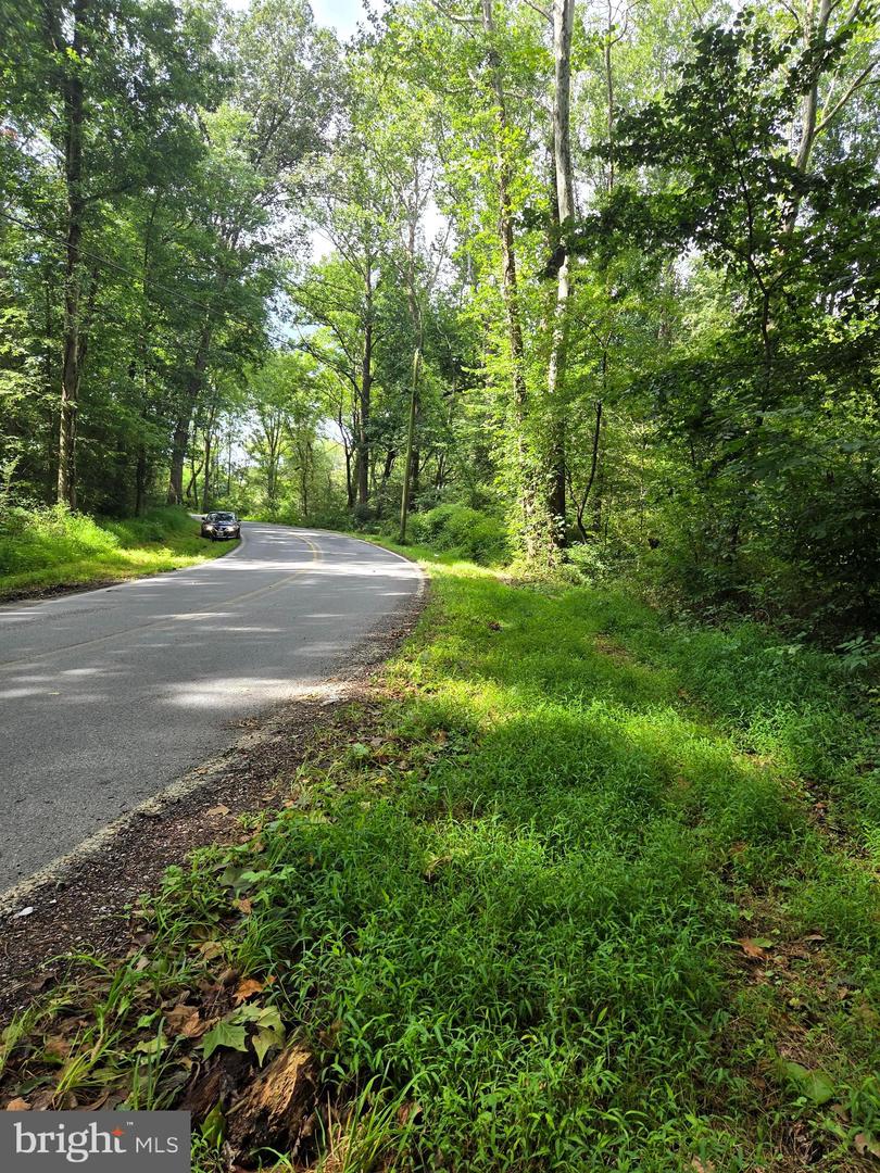 3500 Hawks Hill Rd #lot# 2 Property Photo 2