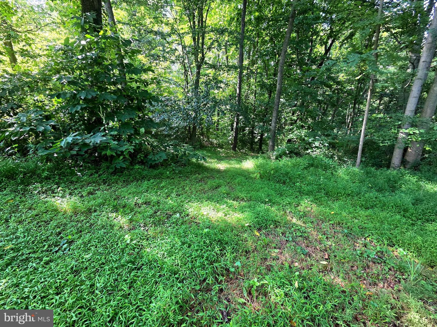 3500 Hawks Hill Rd #lot# 2 Property Photo 3