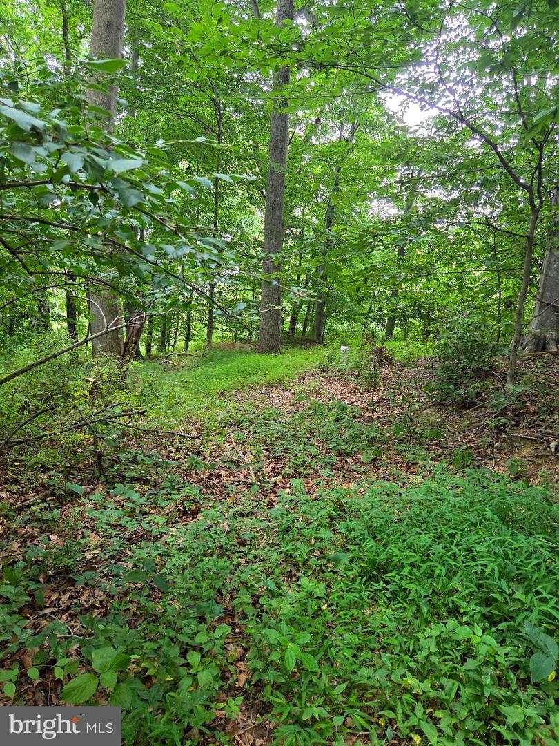 3500 Hawks Hill Rd #lot# 2 Property Photo 4