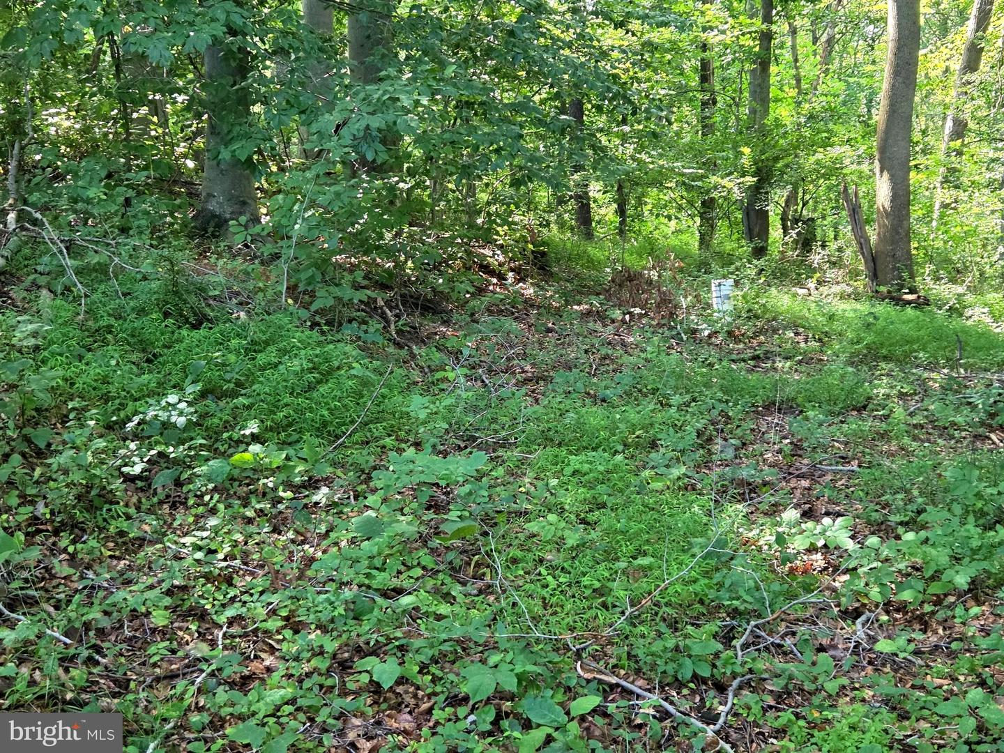3500 Hawks Hill Rd #lot# 2 Property Photo 7