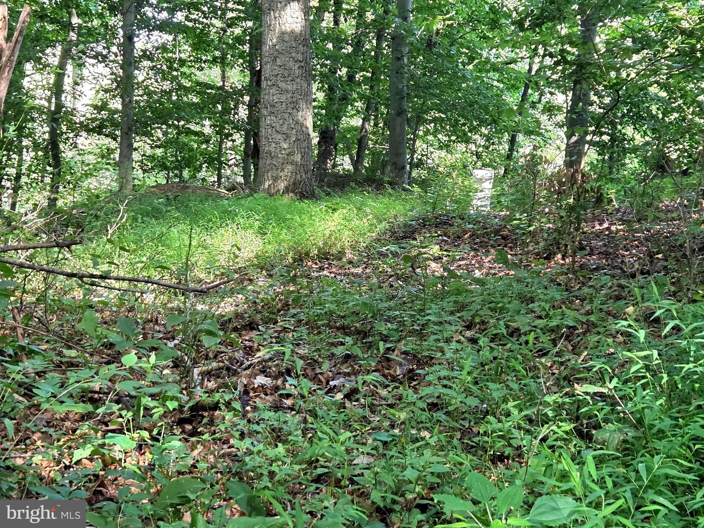 3500 Hawks Hill Rd #lot# 2 Property Photo 8