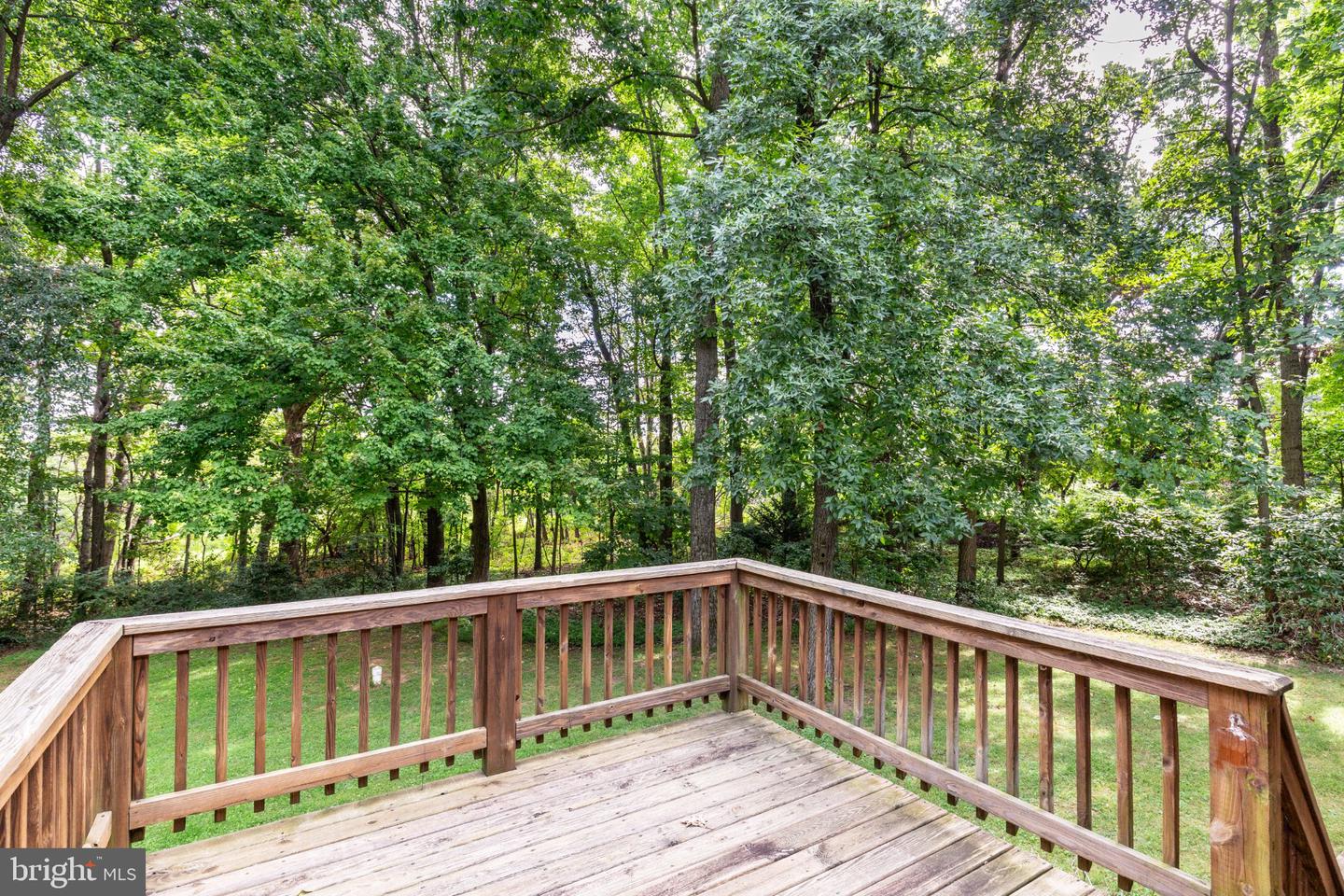 1309 Paw-paw Dr Property Photo 36
