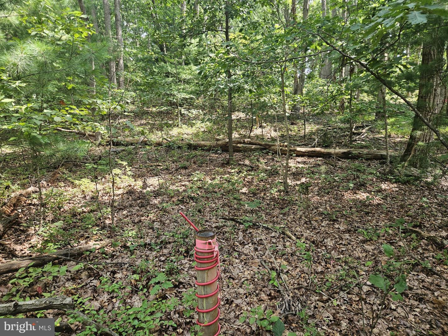 Nicodemus Rd Property Photo 2