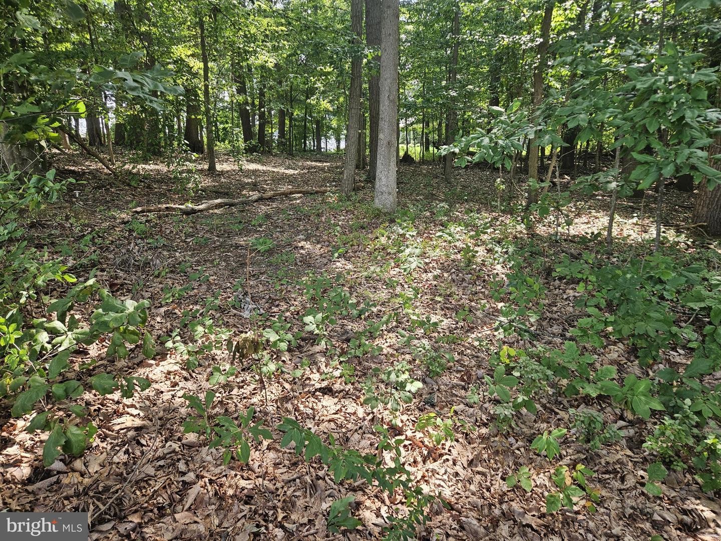 Nicodemus Rd Property Photo 3
