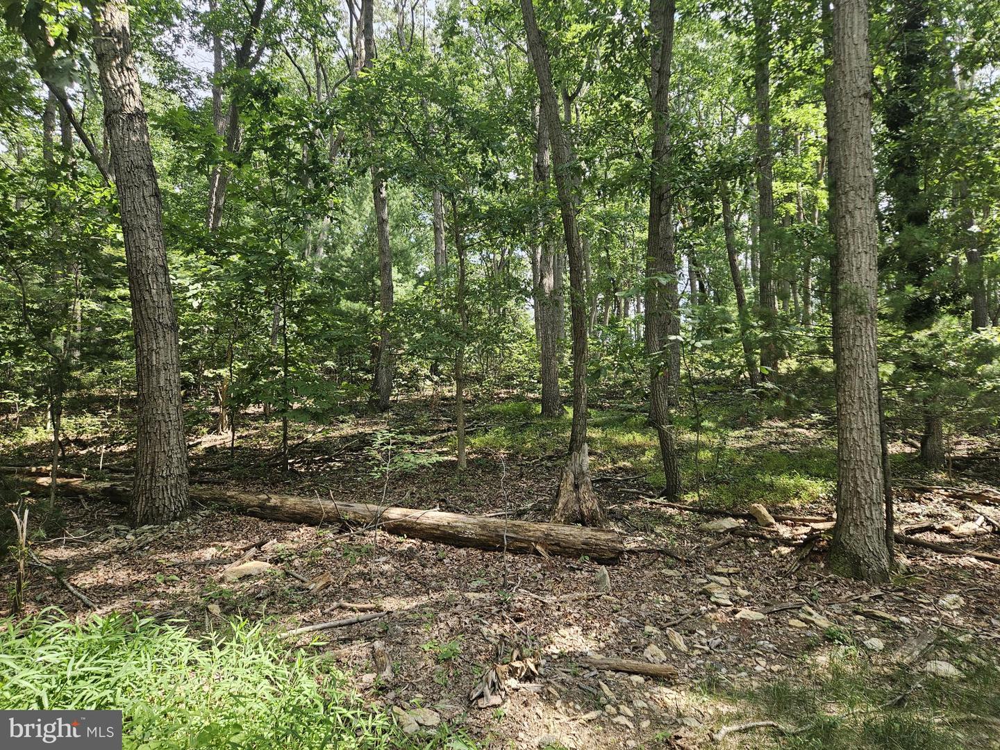 Nicodemus Rd Property Photo 5
