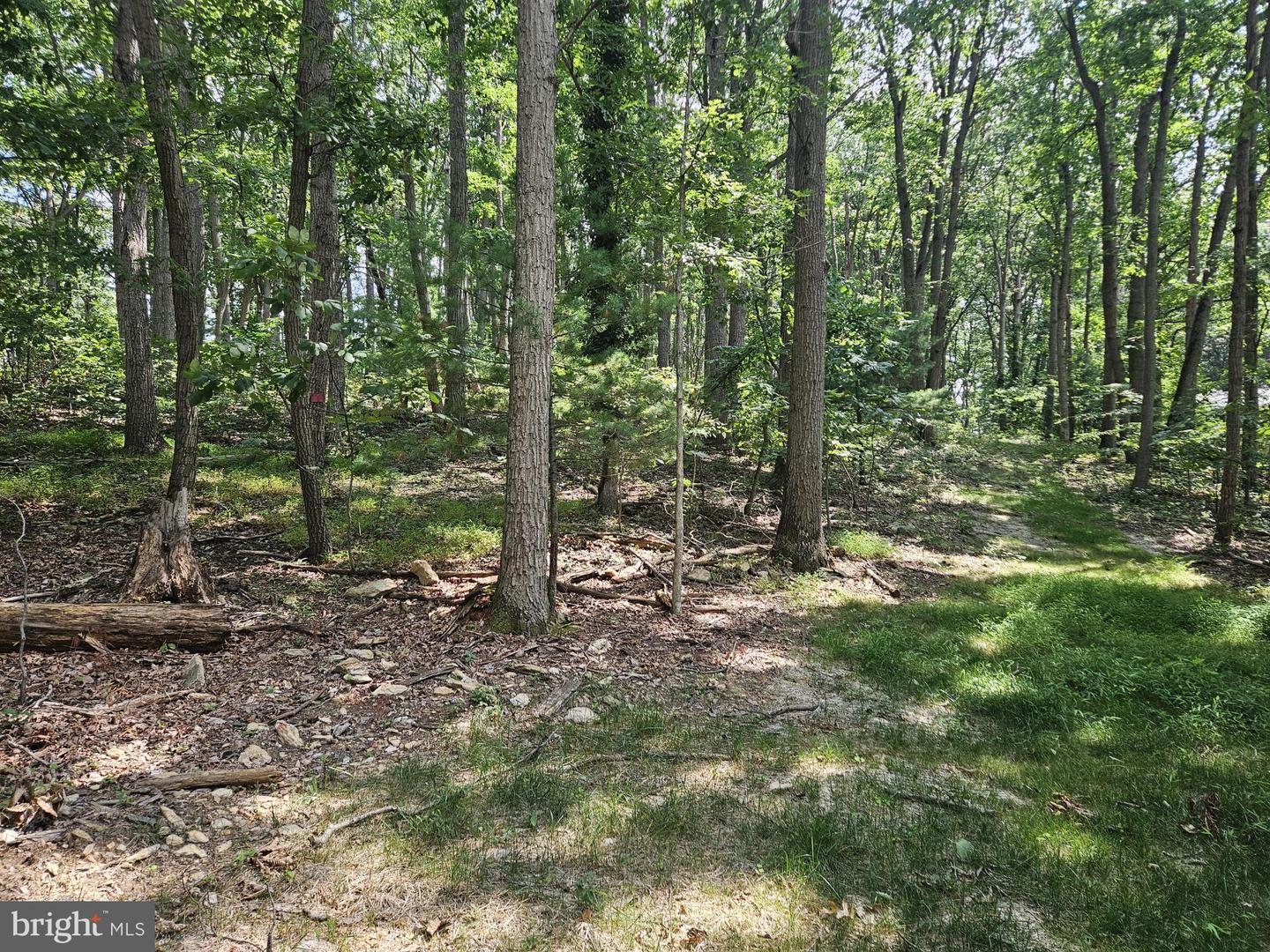Nicodemus Rd Property Photo 6
