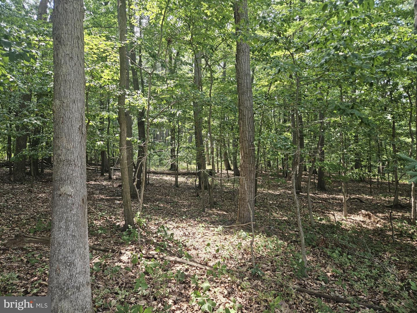Nicodemus Rd Property Photo 12