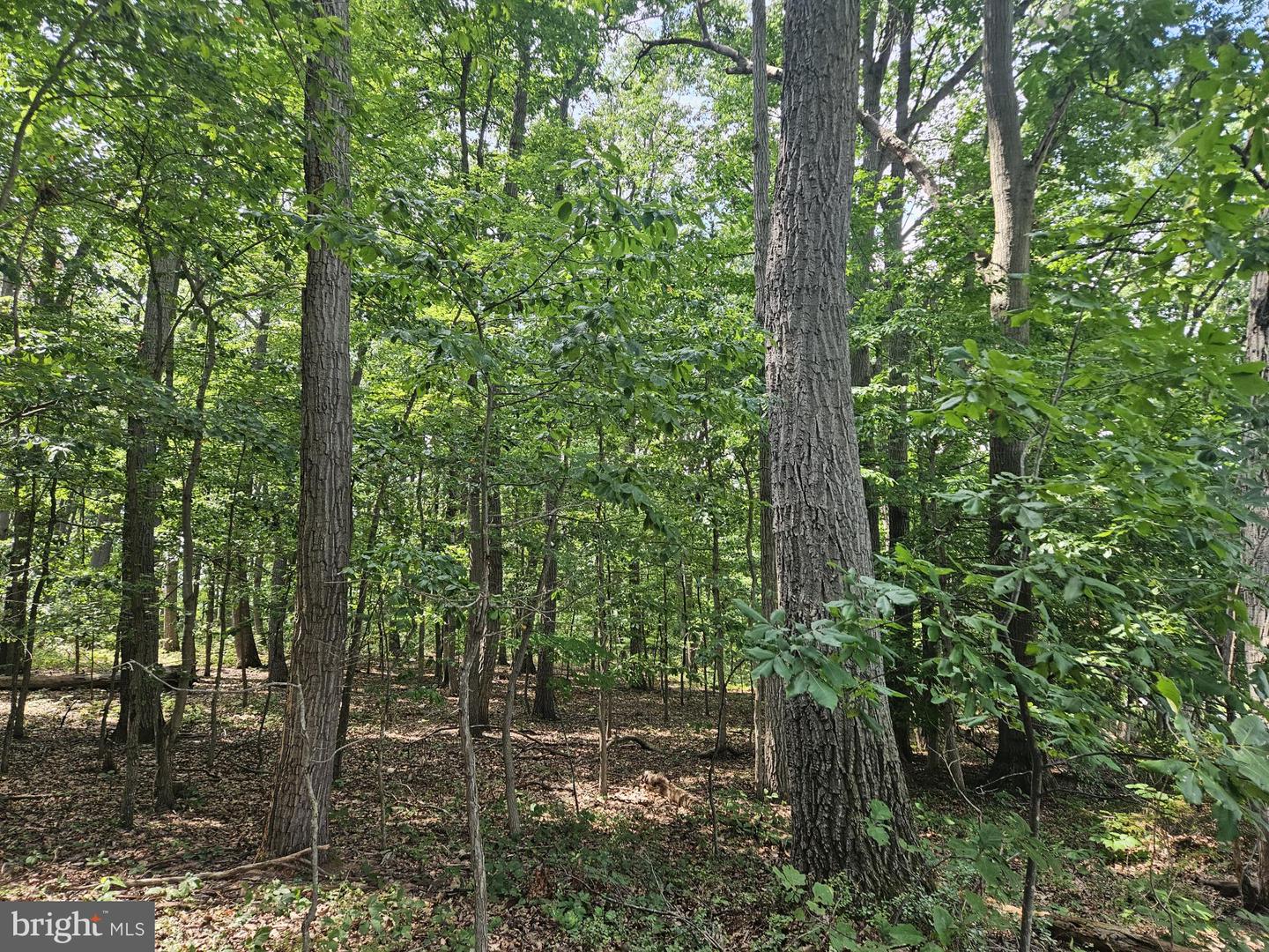 Nicodemus Rd Property Photo 13