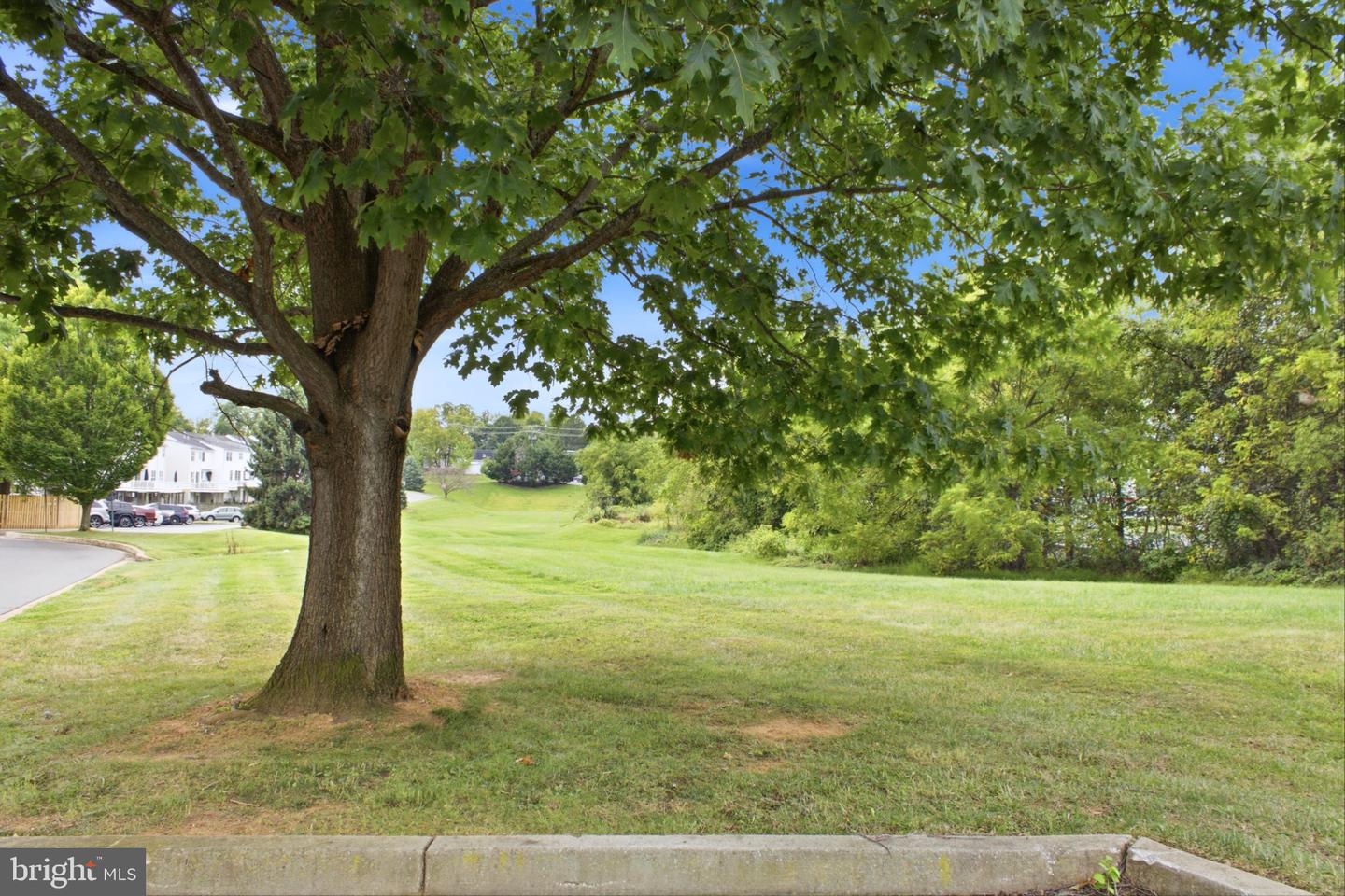 1776 Upper Forde Ln Property Photo 73