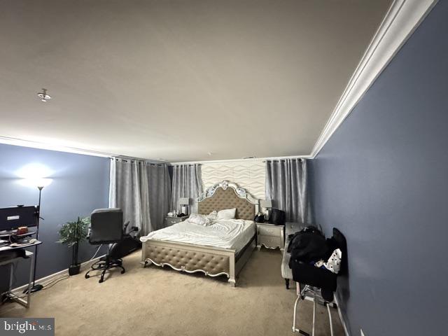 2877 Mahla Ct Property Photo 45