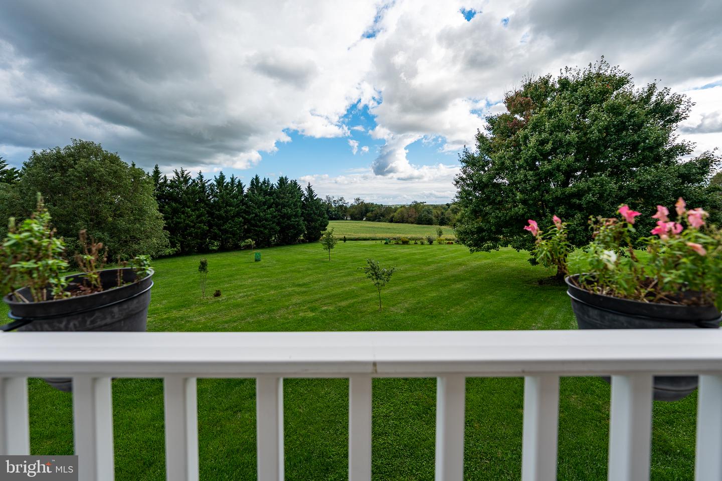 6562 Jasana Ct Property Photo 46