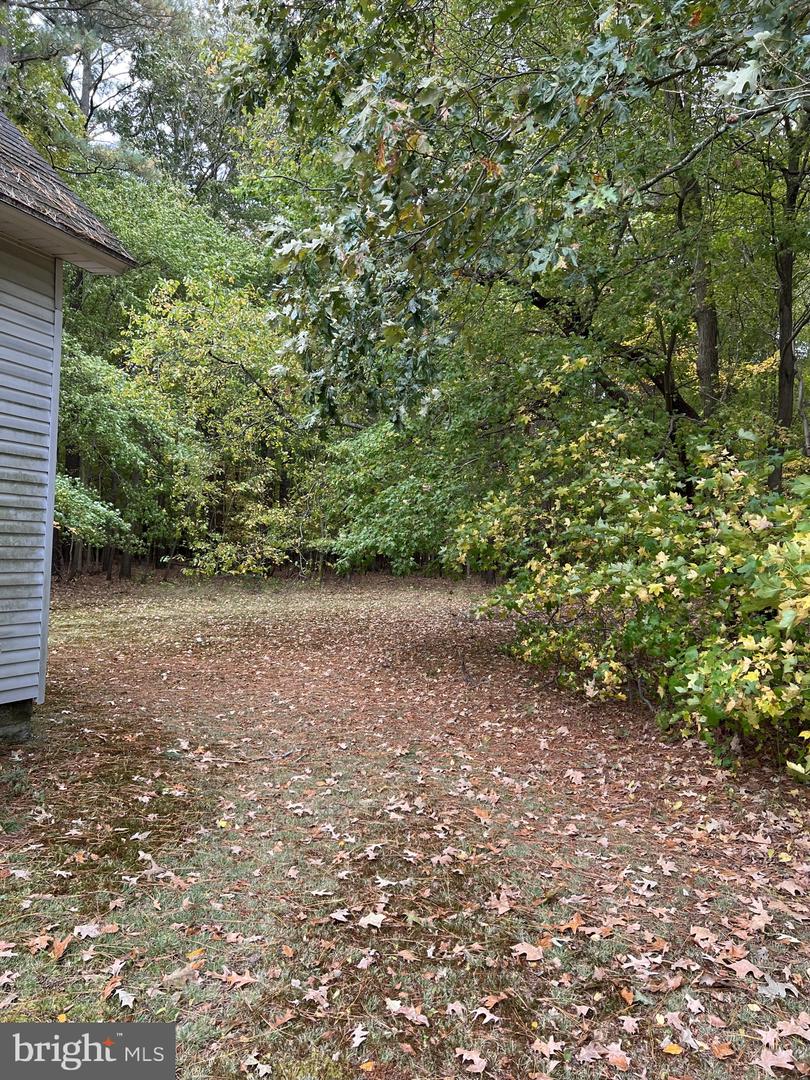 4338 Drawbridge Property Photo 14