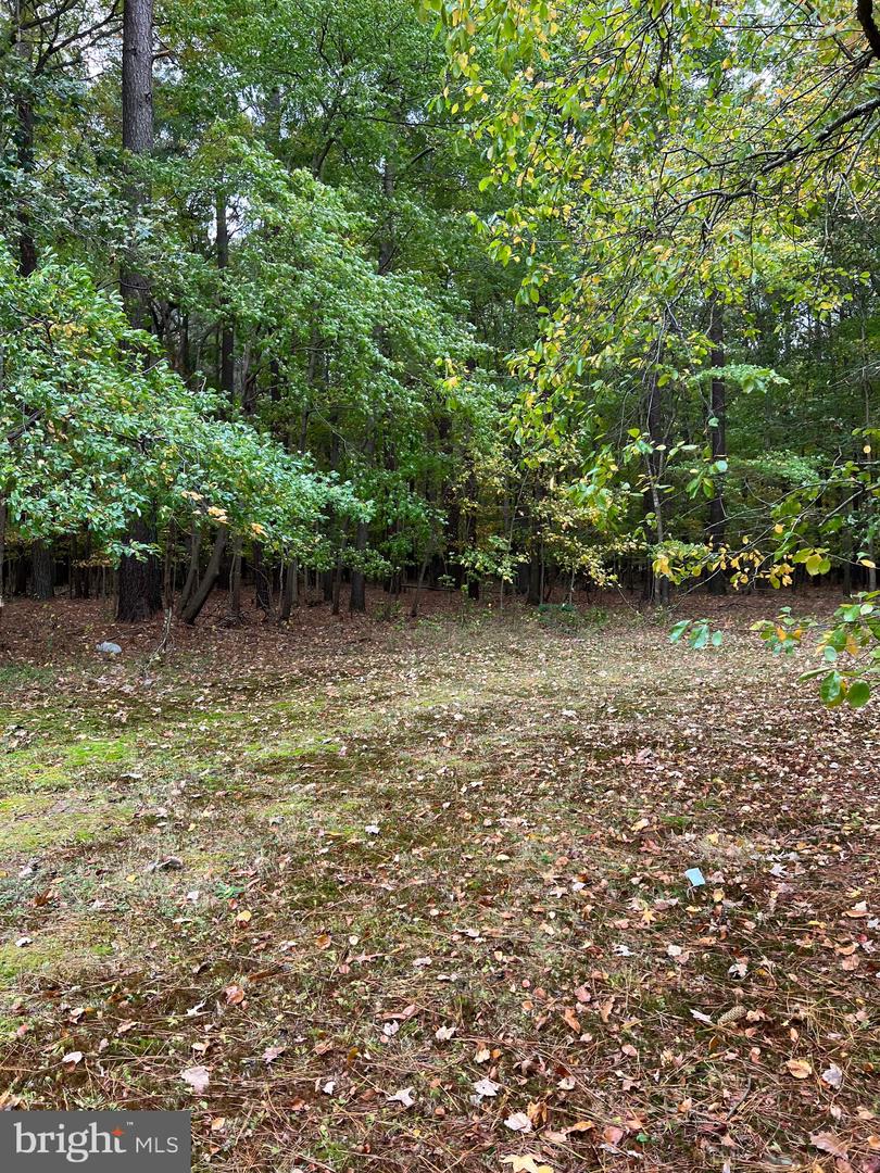 4338 Drawbridge Property Photo 15