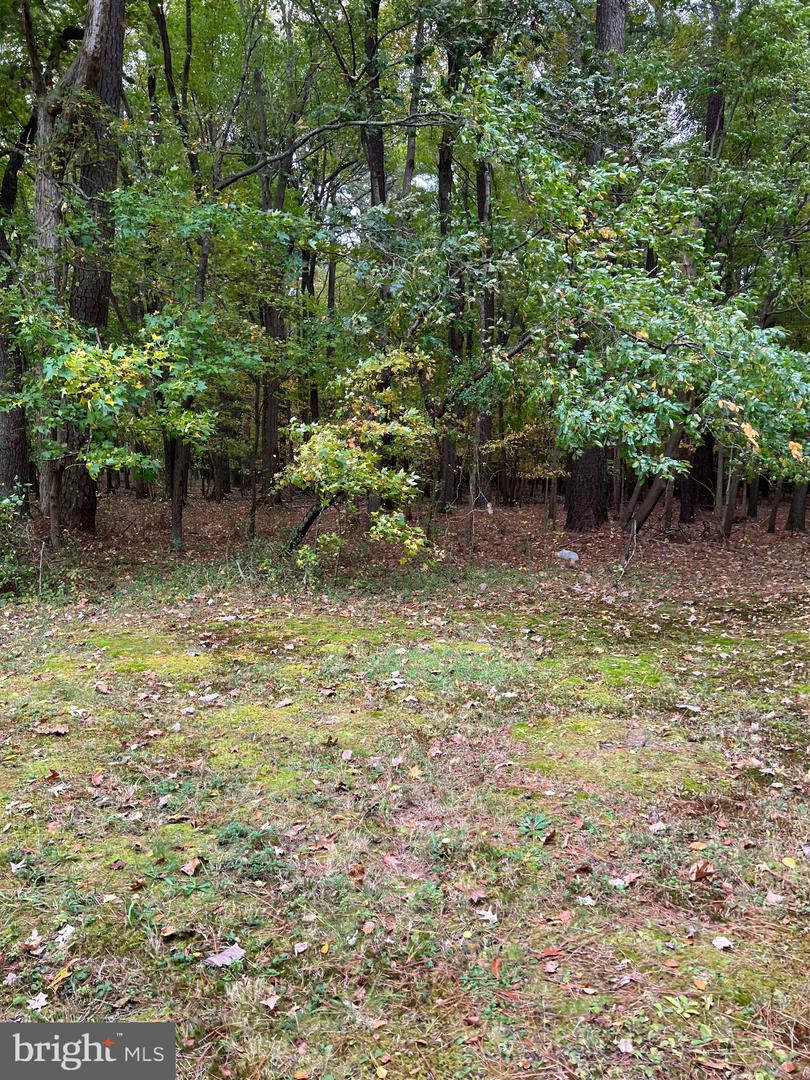 4338 Drawbridge Property Photo 16