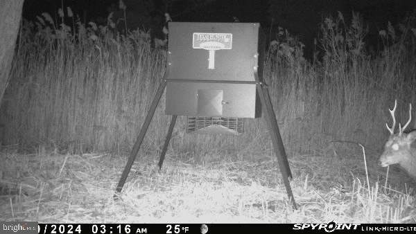 3241 Robbins Rd Property Photo 35