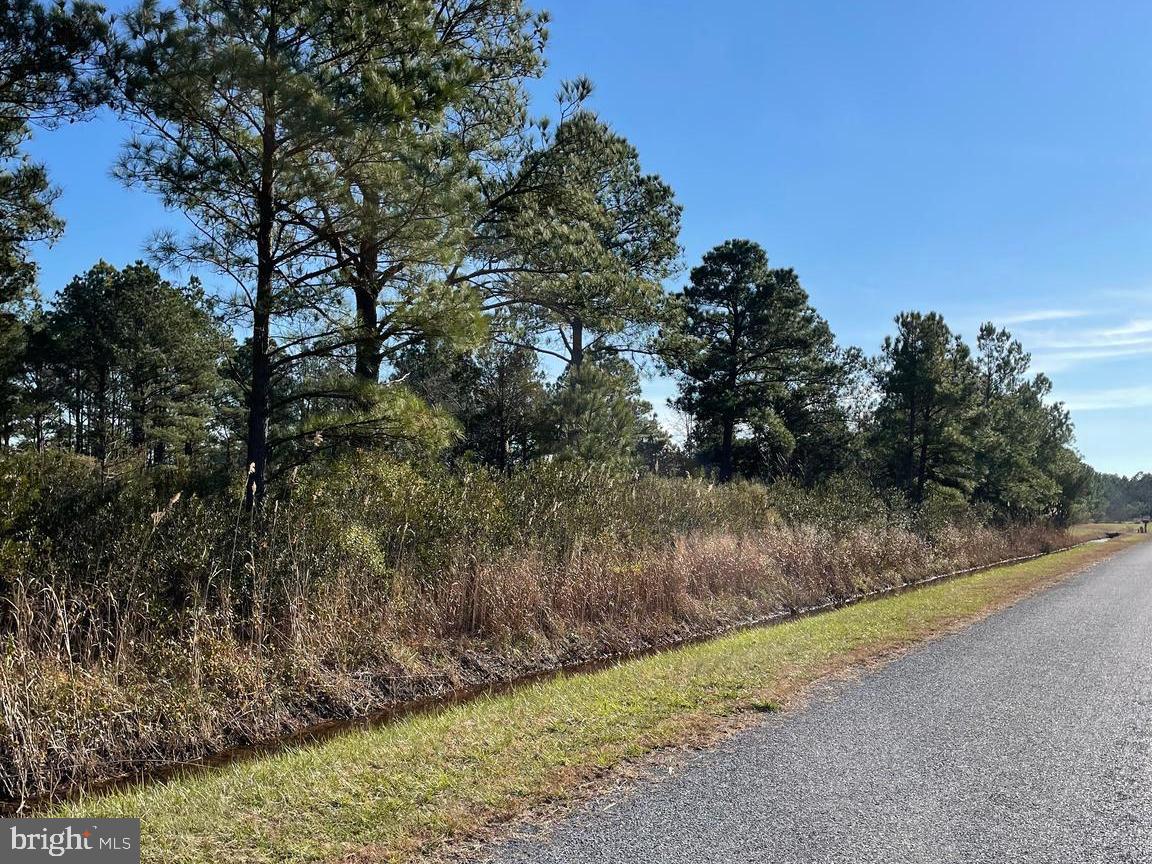 5219 Heron Rd Property Photo 6