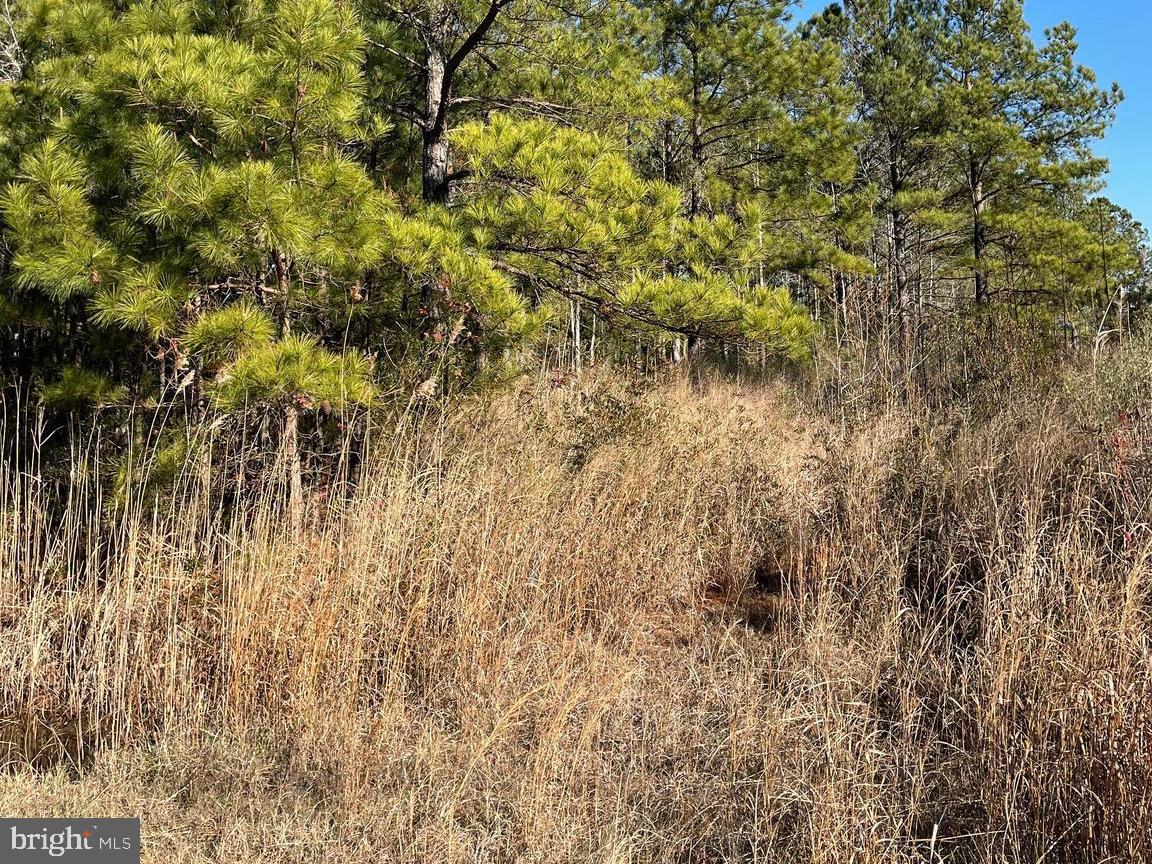 5219 Heron Rd Property Photo 7