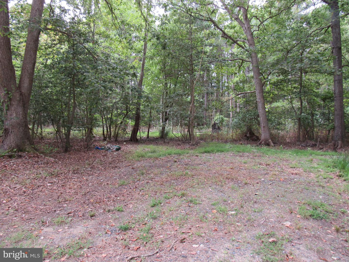 4420 Hooper Neck Rd Property Photo 6