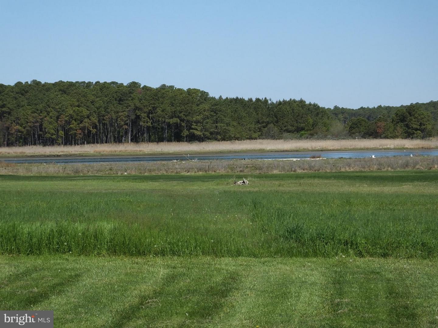 2826 Hoopers Island Rd Property Photo 13